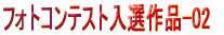 �t�H�g�R���e�X�g���I��i-02